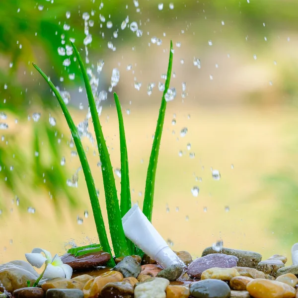 Tubo Crema Blanca Aloe Vera Sobre Rocas Con Salpicaduras Agua — Foto de Stock