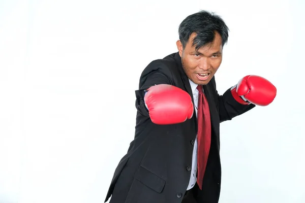 Businessman Boxing Gloves White Background Copy Space — Stock Photo, Image