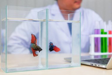 Tarafından bilimsel deneyler suşlar geliştirmek için neden balık ısırıkları.