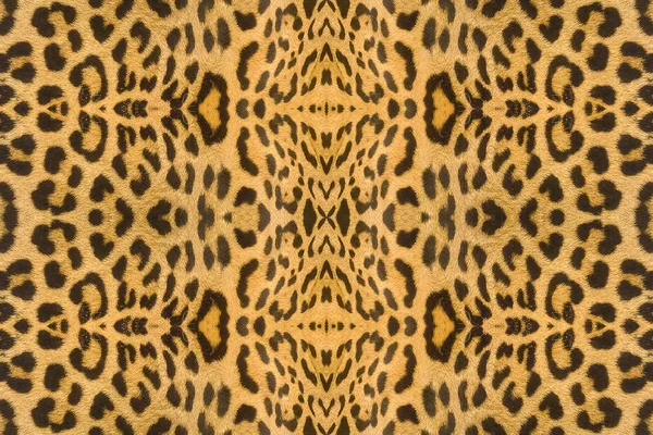 Leopardo Ocelot Textura Pele Fundo — Fotografia de Stock