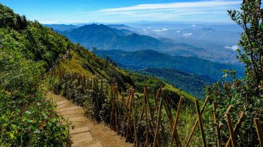 Wood fence and nature trails Doi Inthanon Chiangmai Thailand clipart