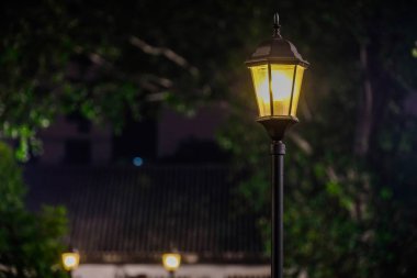 Yeşil yaprak arasında lamba