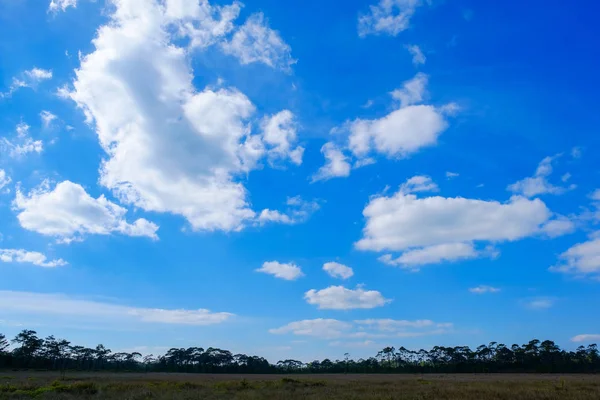 Пухнаста Хмара Над Красивим Синім Фоном Неба — стокове фото