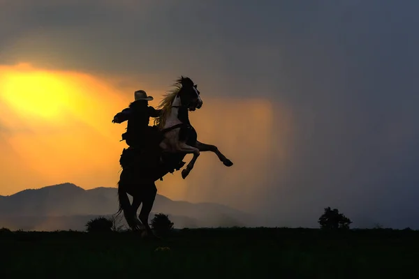 รูปแบบคาวบอยบนม้า ระหว่างพระอาทิตย์ตก — ภาพถ่ายสต็อก
