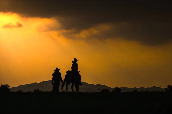 Silhueta de vaqueiro em um cavalo durante o pôr do sol agradável — Fotografia de Stock