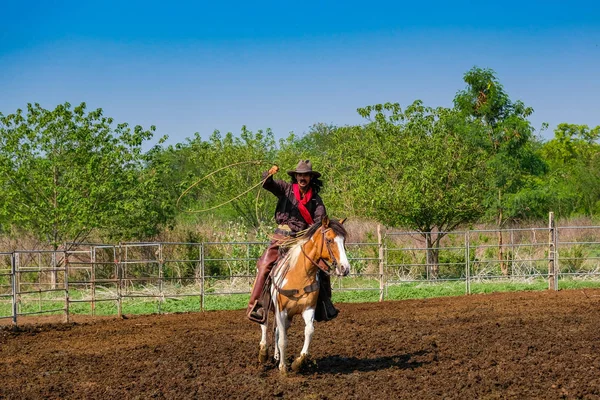 Asian Man Cowboy está pegando um bezerro para ser marcado em um rancho — Fotografia de Stock