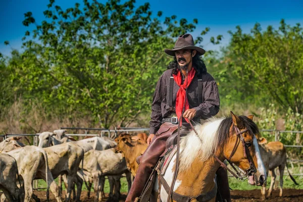 Asijský muž kovboj chytá tele na ranči — Stock fotografie