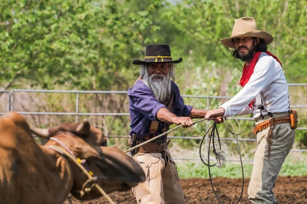 Ázsiai ember cowboy elkapta a borjú, hogy márkás egy tanyán — Stock Fotó