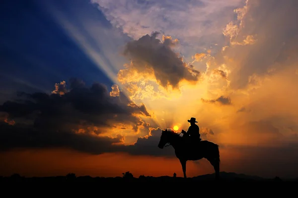 Sylwetka kowbojskiego na koniu o zachodzie słońca na rynek — Zdjęcie stockowe