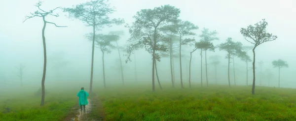 Los turistas usan chaquetas verdes, caminan en la nebulosa selva tropical . — Foto de Stock