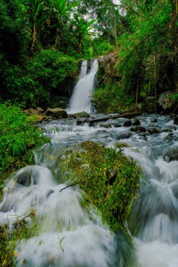 Phu Soi Dao Ulusal Parkı Şelaleler, Tayland