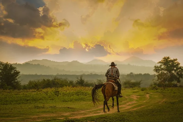 Silhueta Cowboy montando um cavalo sob belo pôr do sol — Fotografia de Stock