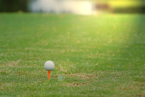 Golf labda a tee készen áll a játékra. — Stock Fotó