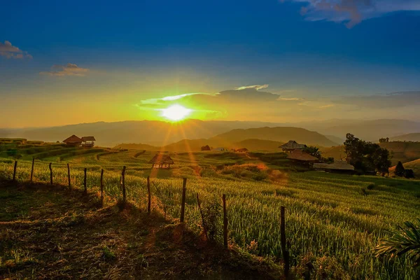 Landskap utsikt över gröna terrasserade risfält i Pa Pong Pieng , — Stockfoto