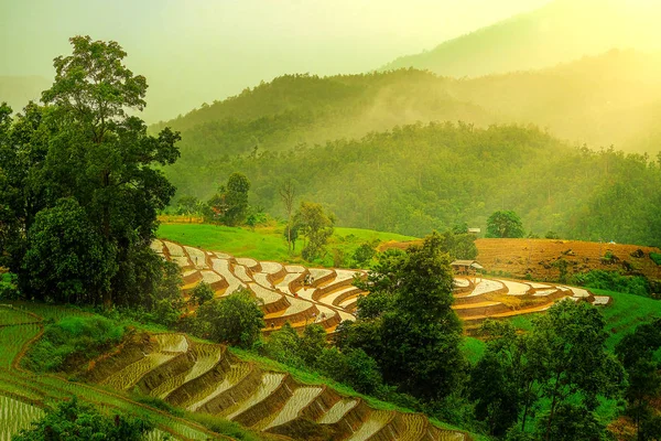 Ландшафтный вид на рисовые террасы и дом в Чианг Ма — стоковое фото