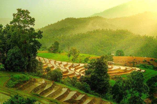 Belle vue paysage sur les terrasses de riz et la maison à chiang ma — Photo