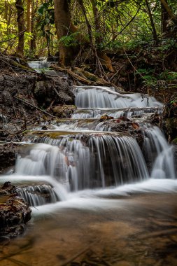 Ka Ngae Sot Şelalesi Thung Yai Naresuan Vahşi Yaşam Sığınağı Ulusal Parkı (Doğu Yakası) - Tak Eyaleti Tayland