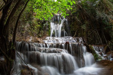 Ka Ngae Sot Şelalesi Thung Yai Naresuan Vahşi Yaşam Sığınağı Ulusal Parkı (Doğu Yakası) - Tak Eyaleti Tayland