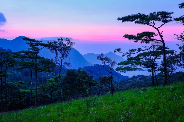 Sunrise Landscape Mountainsat Parque Nacional Phu Soi Dao Tailandia —  Fotos de Stock