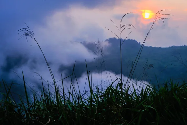 Puesta Sol Bosque Del Parque Nacional Phu Soi Dao Tailandia —  Fotos de Stock