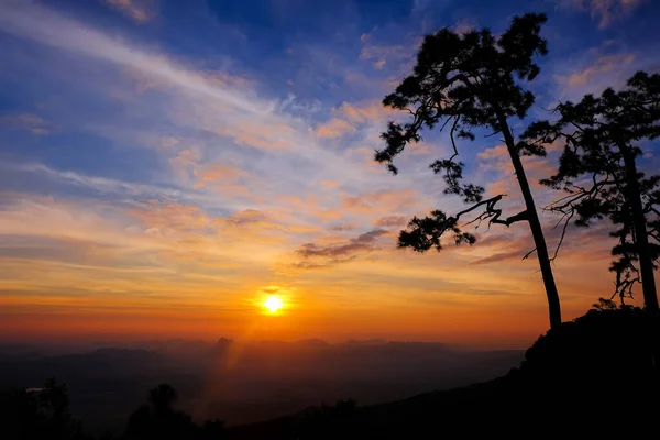 Morgonsolen Vid Pha Nok Aen Phukradueng Loei Provinsen Thailand — Stockfoto