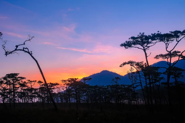 Sunrise Landscape Mountainsat Parque Nacional Phu Soi Dao Tailandia — Foto de Stock