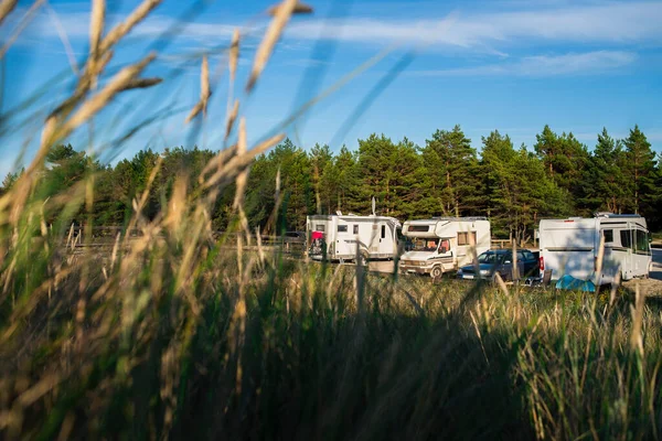 Campers on parking in forest camping in Estonia