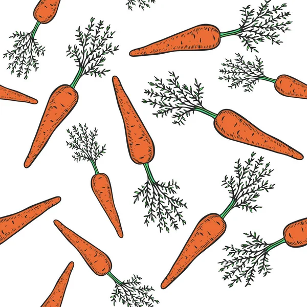 Вегетарианская Еда Ручной Рисунок Моркови Бесшовный Иллюстрация Векторных Винтажных Овощей — стоковый вектор