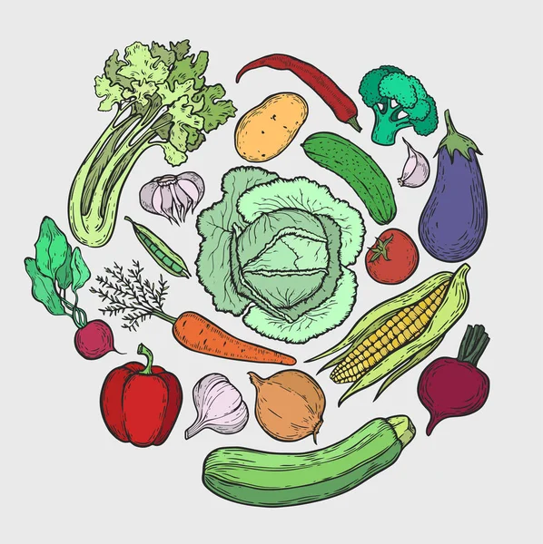 Vegetarian Circle Background Hand Drawn Organic Vegetables Vector Vintage Illustration — Stock Vector