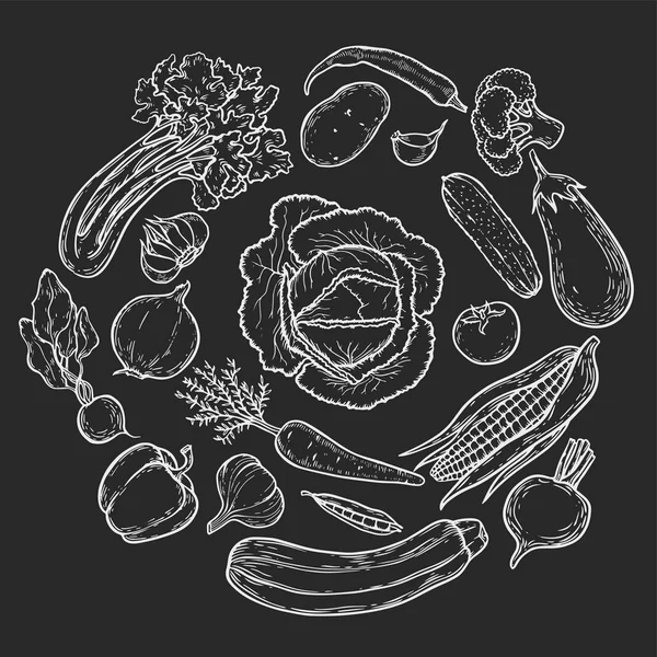 Fondo Círculo Vegetariano Con Verduras Orgánicas Dibujadas Mano Ilustración Vectorial — Vector de stock