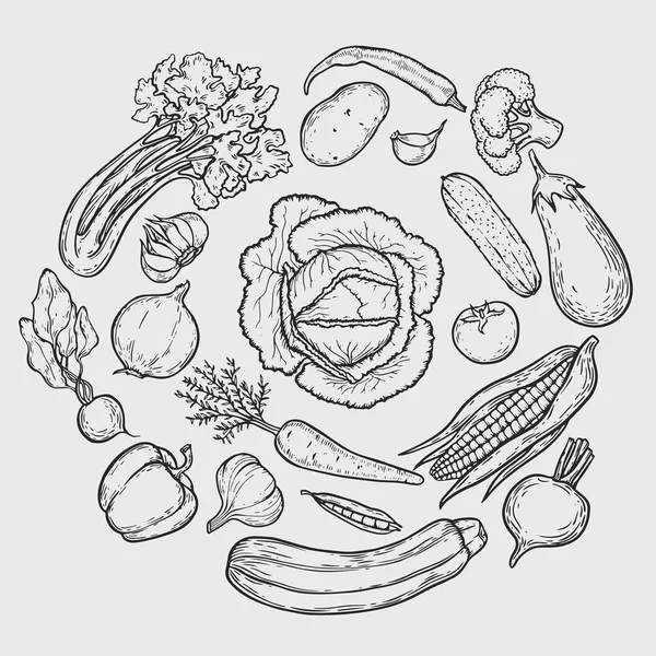 Vegetarian Circle Background Hand Drawn Organic Vegetables Vector Vintage Illustration — Stock Vector