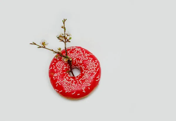 one donut on a light background