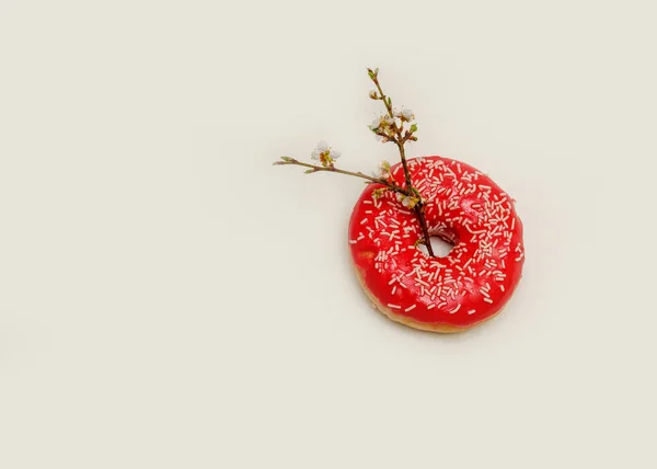one donut on a light background
