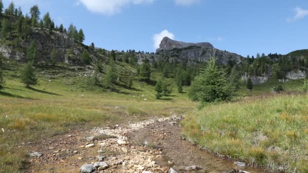 Górski Potok Alpejski Krajobraz Dolina Wielu Sosen Strumień Gór Tle — Wideo stockowe