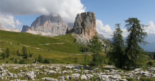 Dolomites Cinque Torri Tofana Rozes Cinque Torri Cortina Ampezzo Foreground — Stock Video