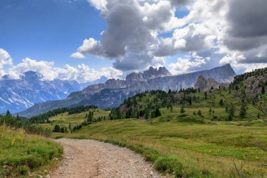 İtalyan Alpler, bulutlu yaz gününde çam ağacı orman ile vadi panorama. Arka planda Croda da Lago dolomitik massif özelliği ile doruklarına çekti..