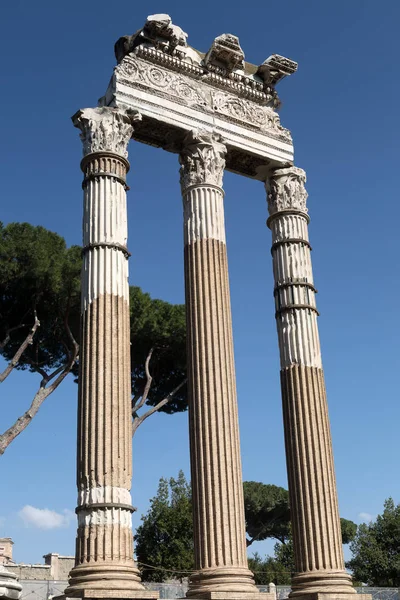 Forum of Caesar, ancient Roman temple columns. — Stock Photo, Image