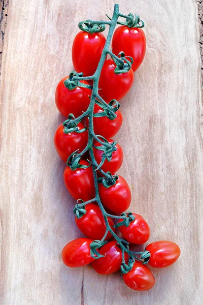 Datterino tomater, körsbärstomater i gäng. — Stockfoto