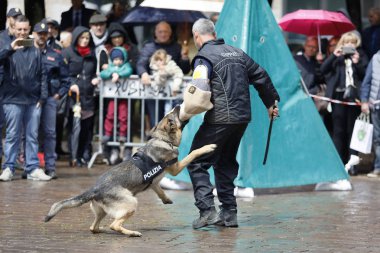 İtalyan Polisi, wi 167 yıldönümü için Kutlamalar