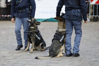 İtalyan Polisi, wi 167 yıldönümü için Kutlamalar