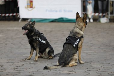 İtalyan Polisi, wi 167 yıldönümü için Kutlamalar