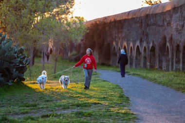 Parkın yeşilinde iki köpeğini gezdiren bir kadın.
