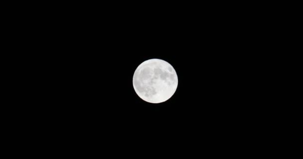 Pleine lune, événement astronomique spectaculaire. La lune photographiée ici est de plus en plus brillante car exactement au point de son orbite plus près de la Terre, le périgée .