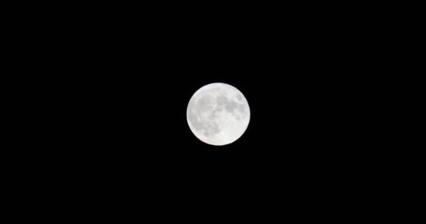 Lua Cheia Espetacular Evento Astronómico Lua Fotografada Aqui Mais Brilhante — Vídeo de Stock