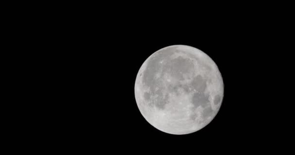 Lua Perfeitamente Redonda Brilhante Lua Cheia Movendo Sua Fase Perigeu — Vídeo de Stock