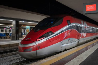 Yüksek hızlı tren, terminal istasyonu.