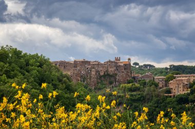 İtalya 'nın Viterbo ilindeki Calcata köyünün panoramik manzarası. Ortaçağ köyü tüyüyle inşa edilmiş ve çevreleyen ormanın yeşilliğine batmış..