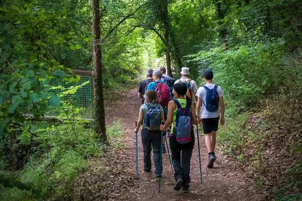 Calcata Itália Junho 2020 Grupo Caminhantes Percorre Caminho Dentro Floresta — Fotografia de Stock