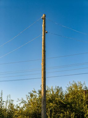 Arkasında elektrik hatları ve ağaçlar olan bir telefon direği..