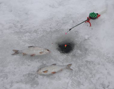 Buz üstünde balık buz delikli kış boyunca balığa Dinyeper Kiev, Güney Köprüsü yakınlarında üzerinde 10 Ocak 2019 yakınındaki.